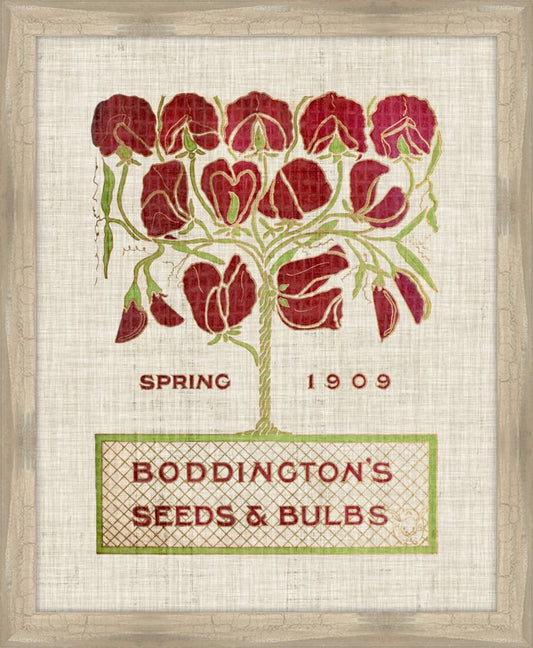 Flower and Seed Packet II