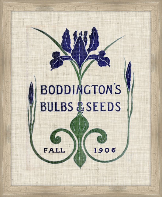 Flower and Seed Packet IV