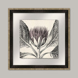 Arctium I in Pale Lilac