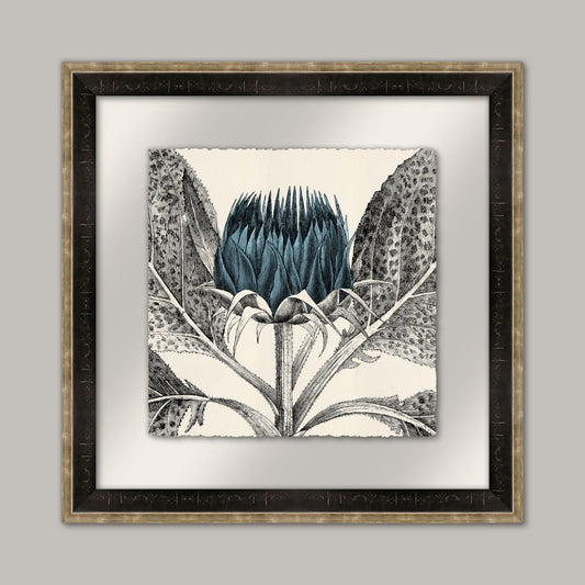 Arctium II in Adrift