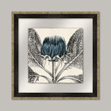 Arctium II in Adrift