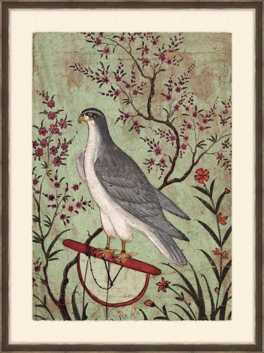 Falcon on a Perch, India, 1610