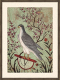 Falcon on a Perch, India, 1610