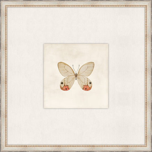 Cottage Butterfly I