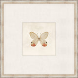 Cottage Butterfly I