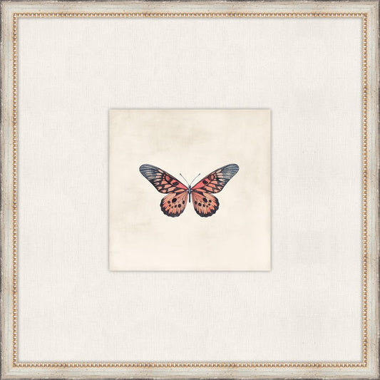 Cottage Butterfly II