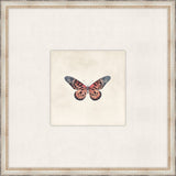 Cottage Butterfly II