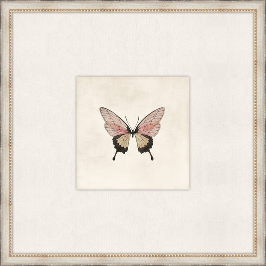 Cottage Butterfly III