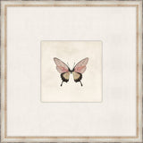 Cottage Butterfly III