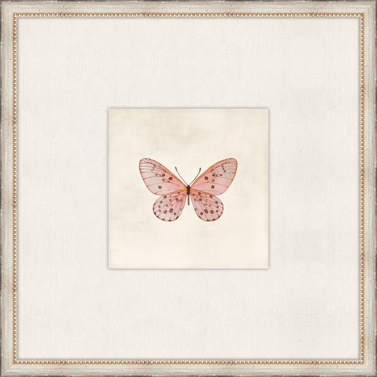 Cottage Butterfly IV