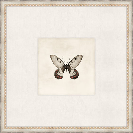Cottage Butterfly V