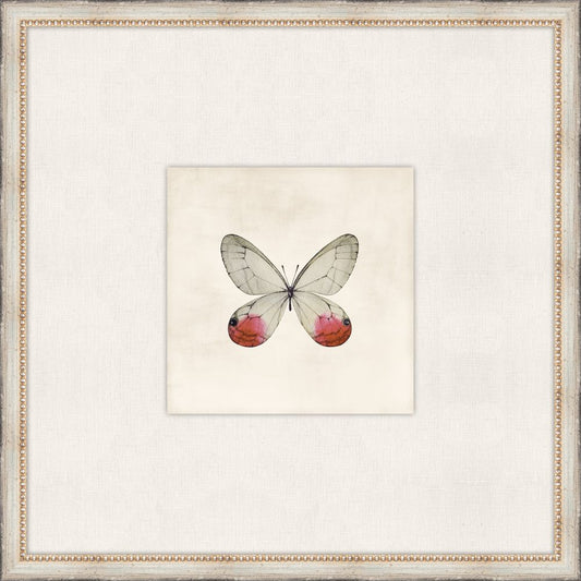 Cottage Butterfly VI