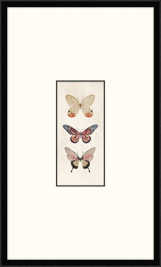 Three Cottage Butterflies Ii