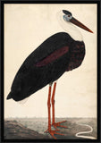 Black Stork in a Landscape, circa 1780