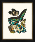 Seguy Papillons I Petite