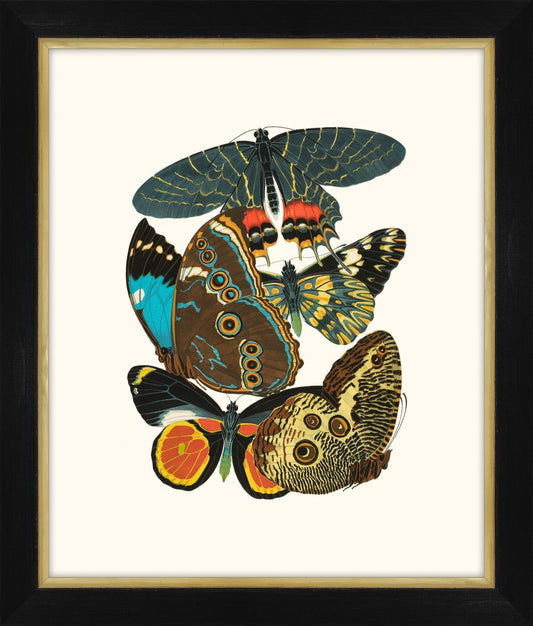 Seguy Papillons II Petite