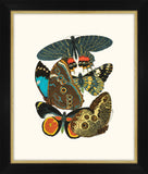 Seguy Papillons II Petite