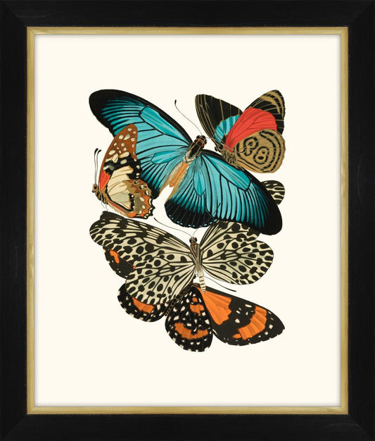Seguy Papillons III Petite