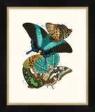 Seguy Papillons IV Petite