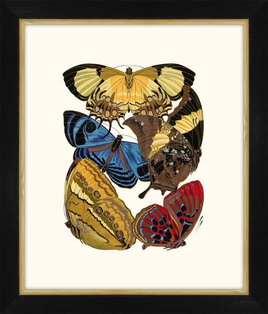 Seguy Papillons V Petite