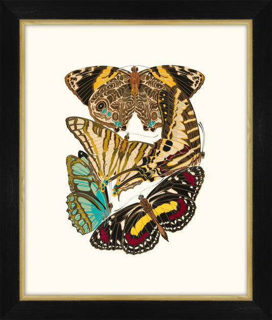 Seguy Papillons VI Petite
