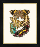 Seguy Papillons VI Petite