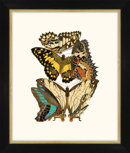 Seguy Papillons VII Petite