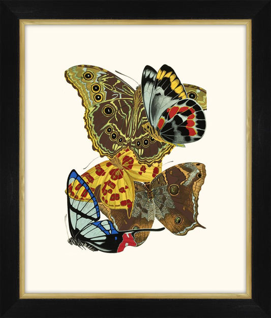 Seguy Papillons VIII Petite