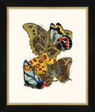 Seguy Papillons VIII Petite