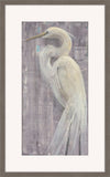 Coastal Egret II