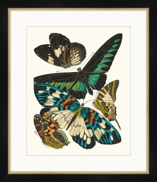 Seguy Papillons I