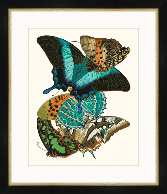 Seguy Papillons IV