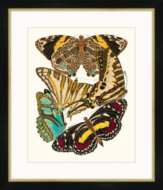 Seguy Papillons VI