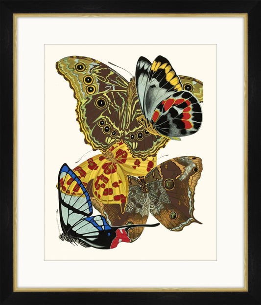 Seguy Papillons VIII
