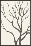 Tall Branches I