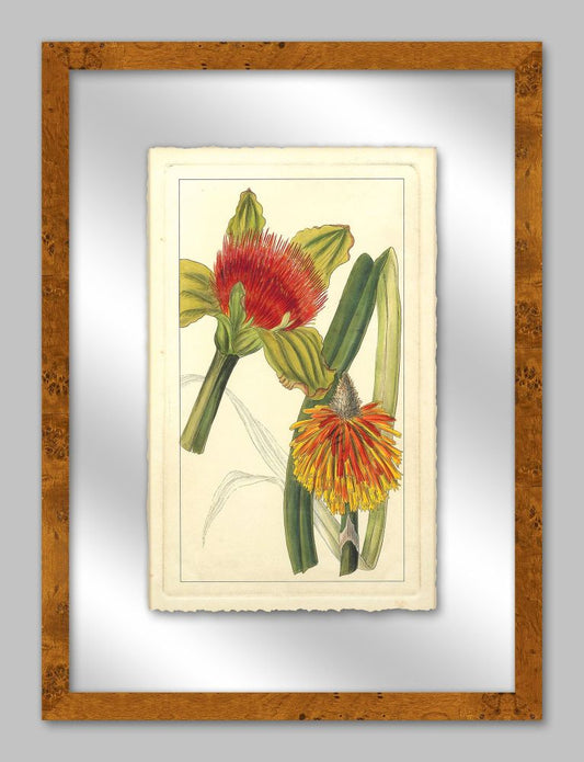 Rachels Tropicals in Glass I