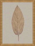 Leaves in Linen I