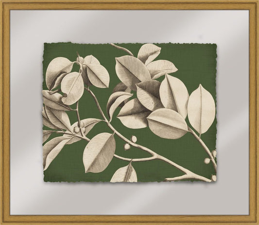 Rheedes in Cypress I