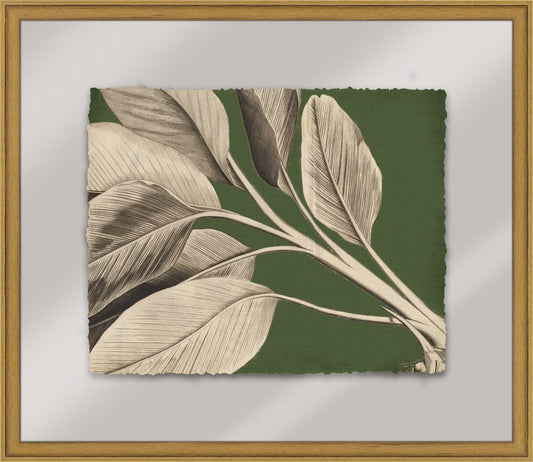 Rheedes in Cypress II