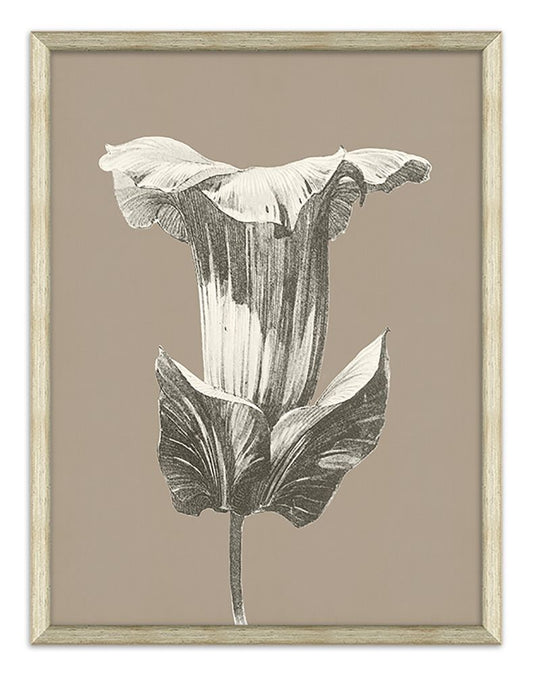 Fleur Silhouette in Taupe  I