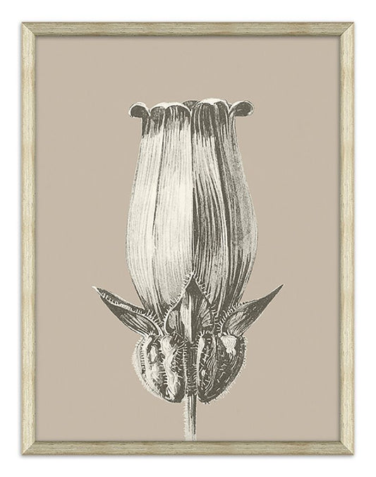 Fleur Silhouette in Taupe II