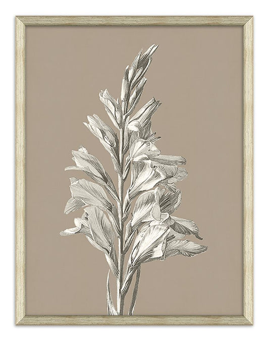 Fleur Silhouette in Taupe III