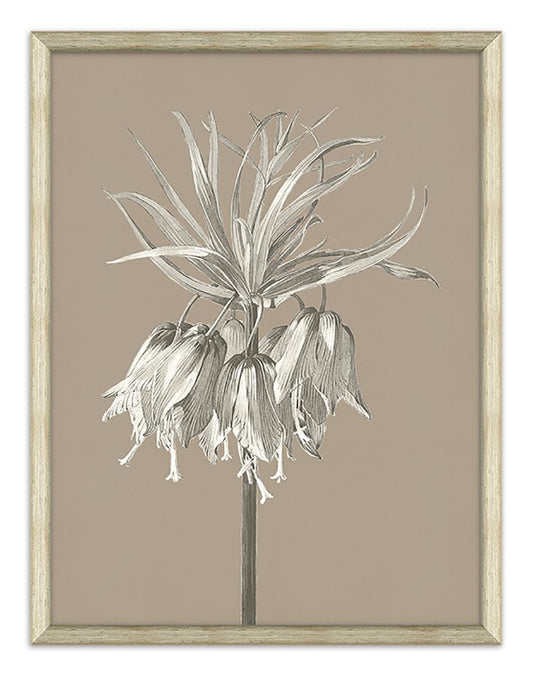 Fleur Silhouette in Taupe IV