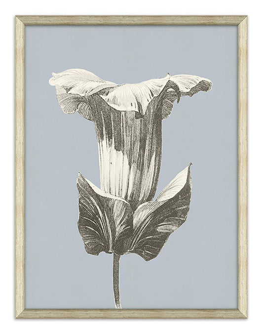 Azure Fleur Silhouette I