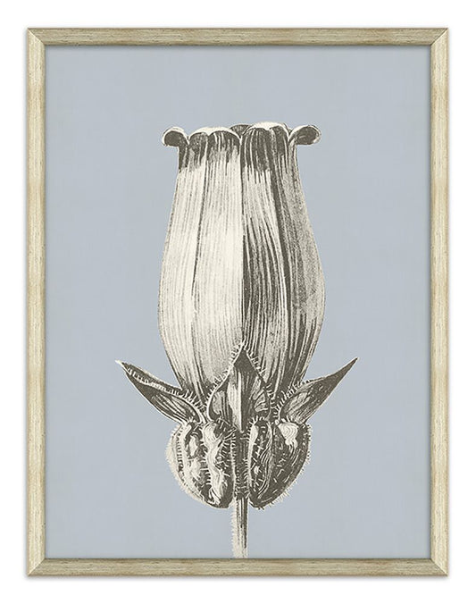 Azure Fleur Silhouette II