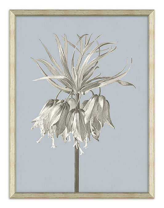 Azure Fleur Silhouette IV