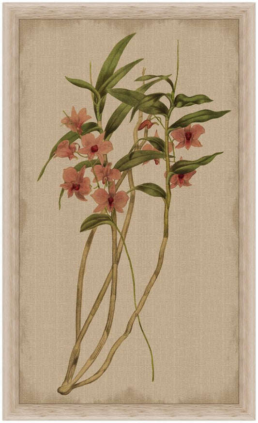 Orchid on Linen I