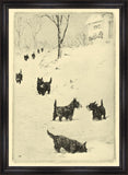 Scotties in Snow