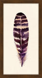 Feather II