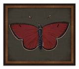 Butterflies on Black II